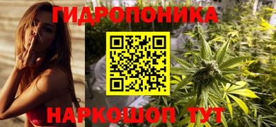 прущие крисы Будённовск