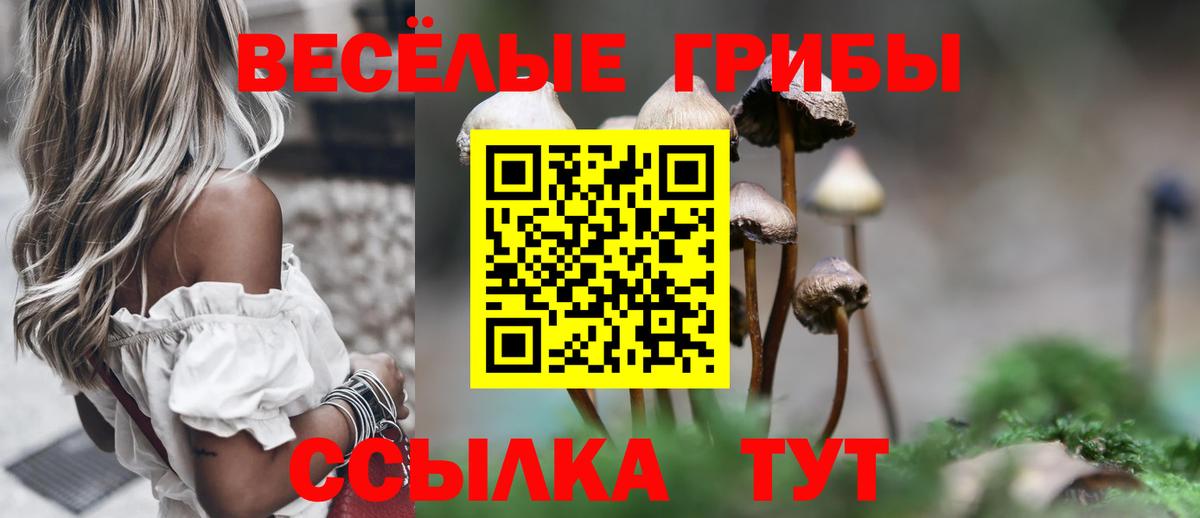 магазин    Вход с VPN  Курчалой  Галлюциногенные грибы Magic Shrooms 